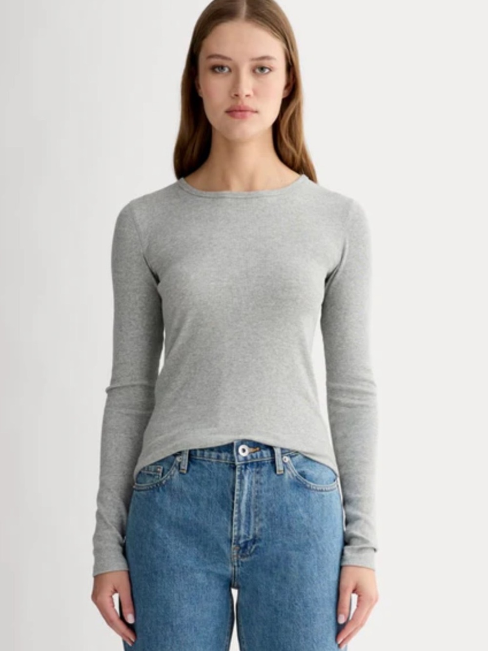 Everlane Lux Rib Long Sleeve Crew Tee NWT Size Small Gray Fitted Long Sleeve